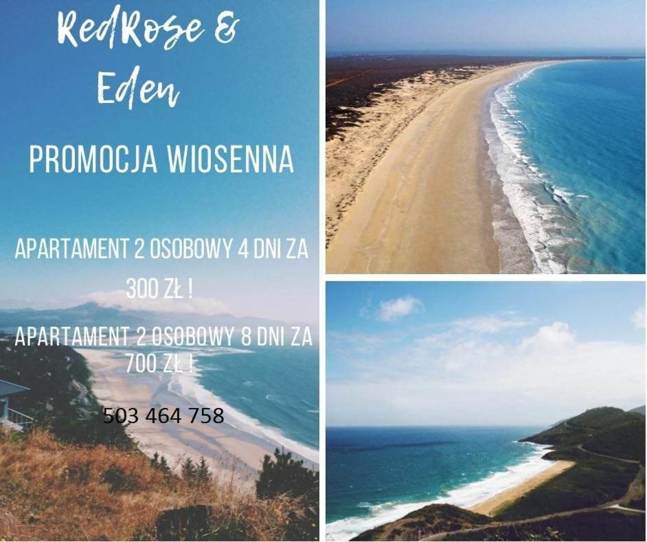 Resort Eden Domki, Apartamenty I Pokoje Jastrzębia Góra Εξωτερικό φωτογραφία